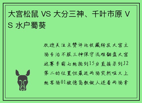 大宫松鼠 VS 大分三神、千叶市原 VS 水户蜀葵